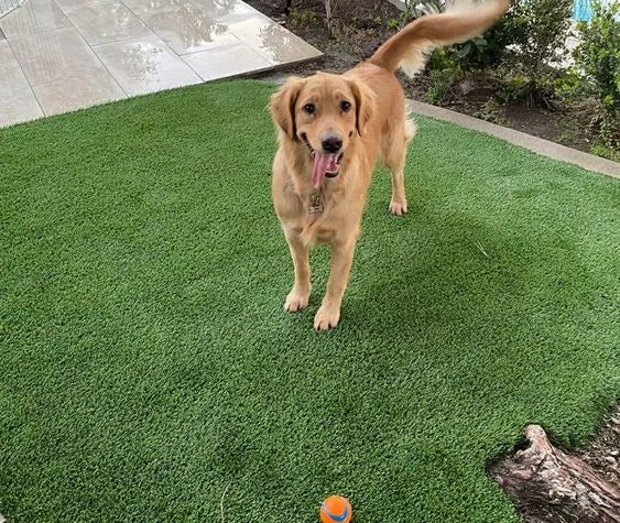 Gone with the Mud: Journey to a Cleaner Home with Synthetic Grass - Aloro Group