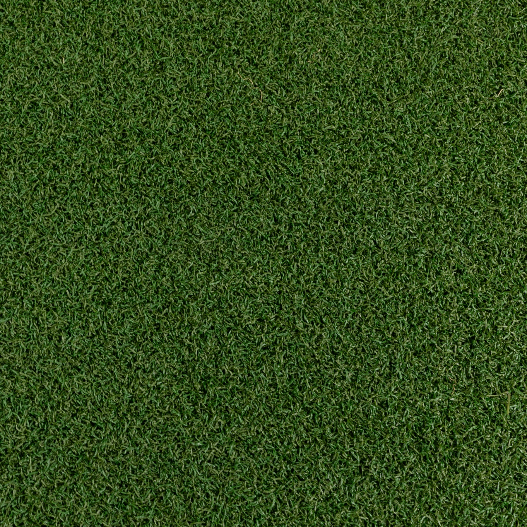 23mm Soft Pile Recreation Grass - 3.75m wide