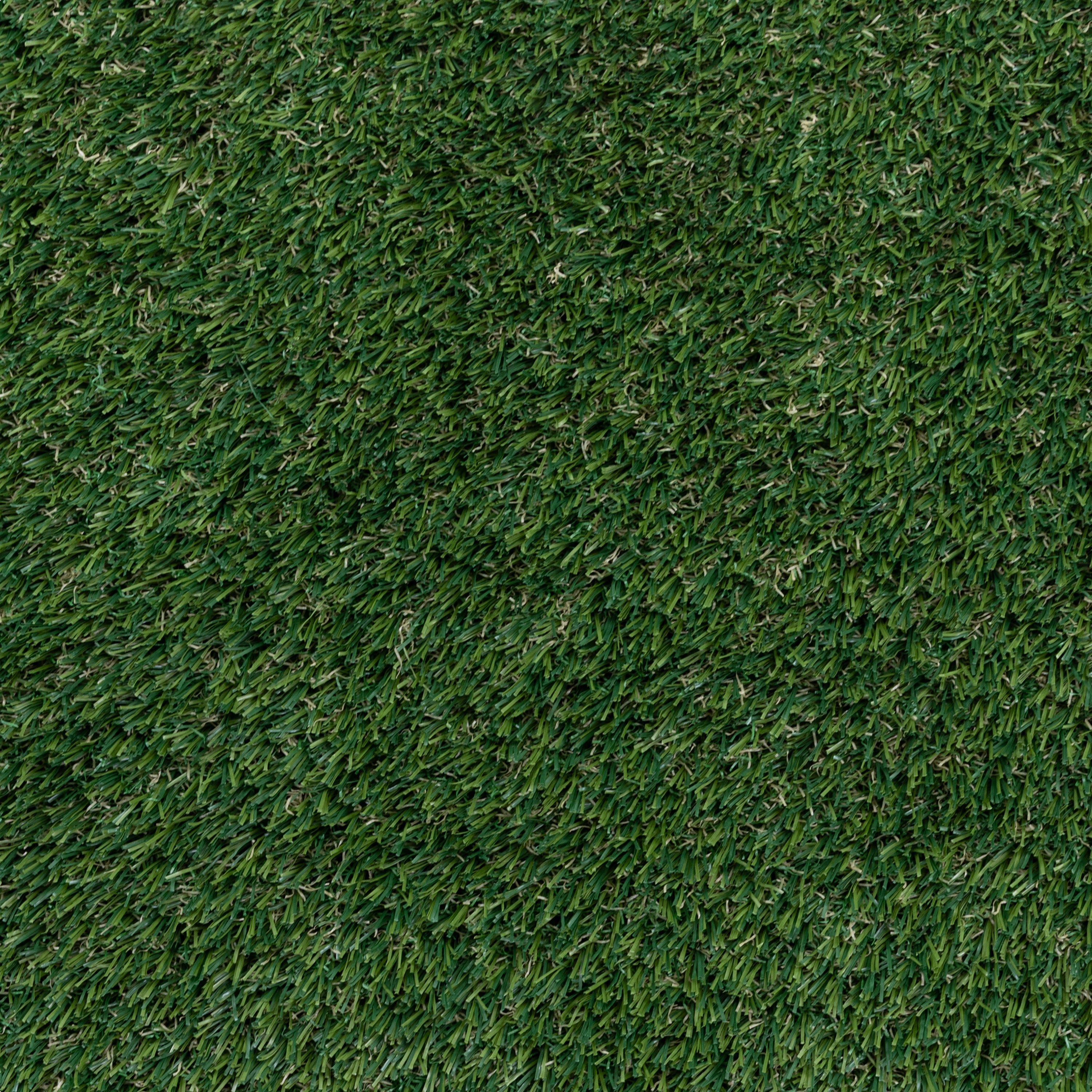 30mm Hi-Density Non-infill Premium Sports Grass - 3.75m wide sold per Lm
