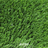 50mm Allsports Soccer Grass