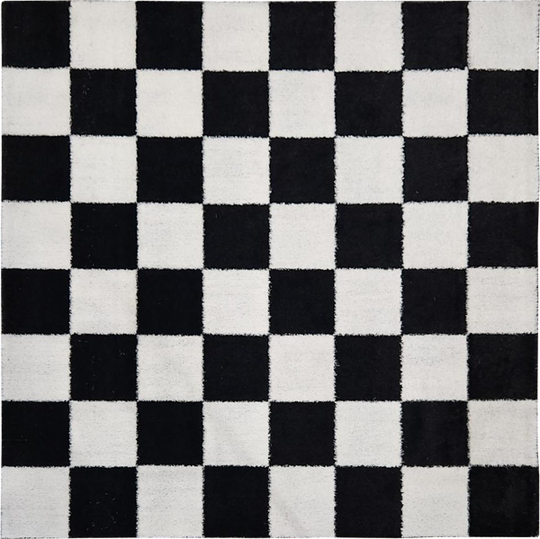 Chess board activity grass