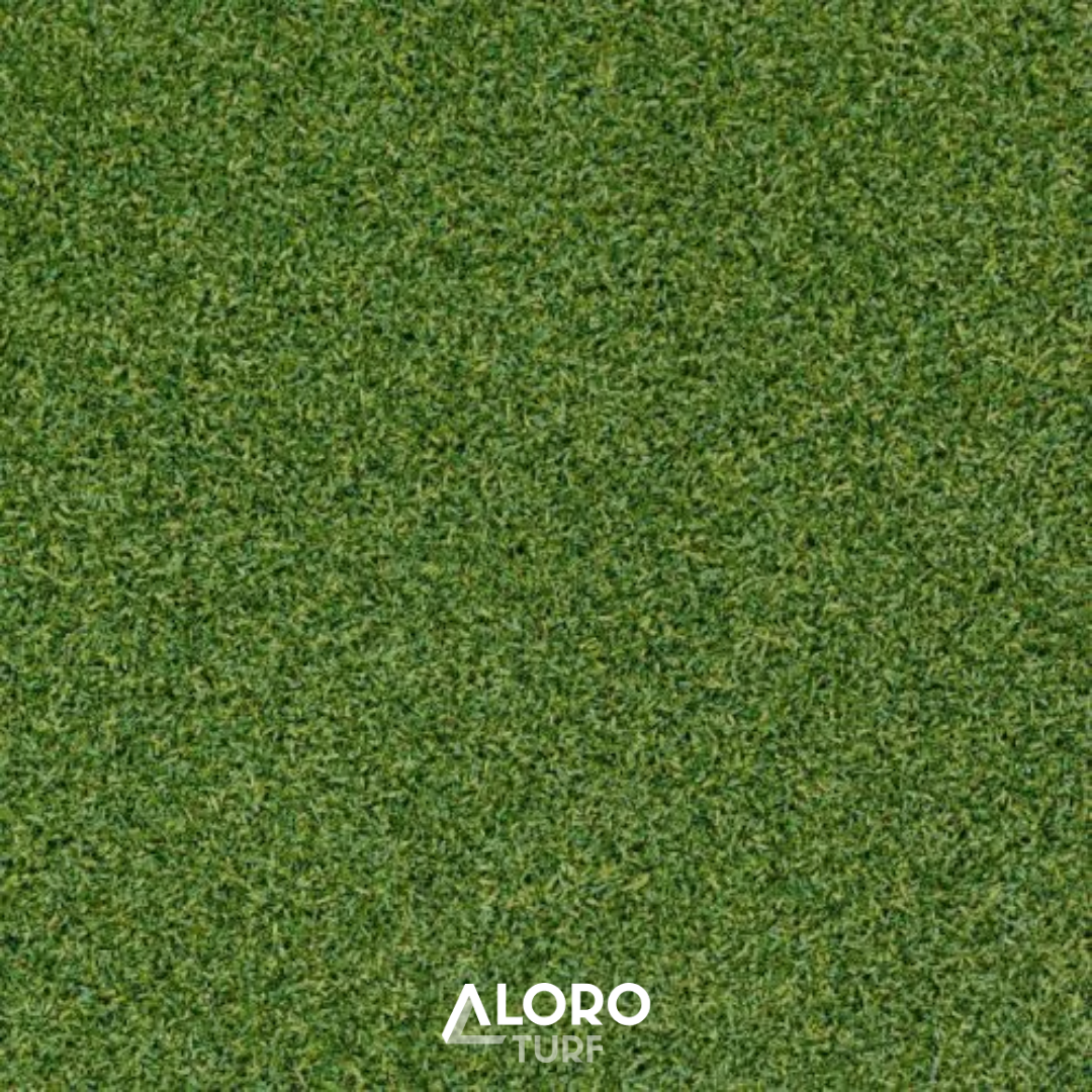 16mm Premium Putting Green Golf Grass - 3.75m wide